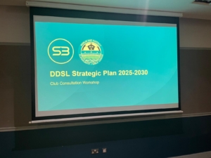 DDSL Strategic Plan 2025